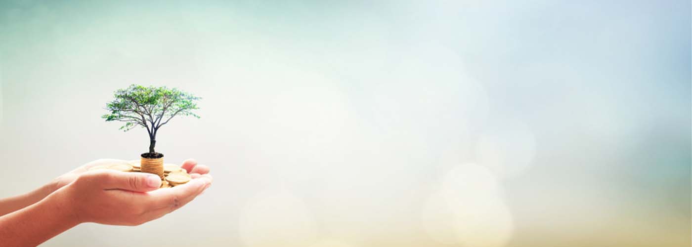 banner 03